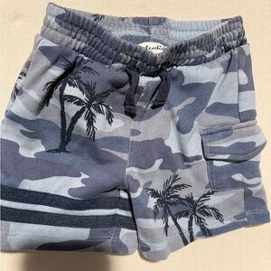 Splendid Blue and White Striped Shorts